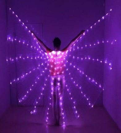Adult LED Wings