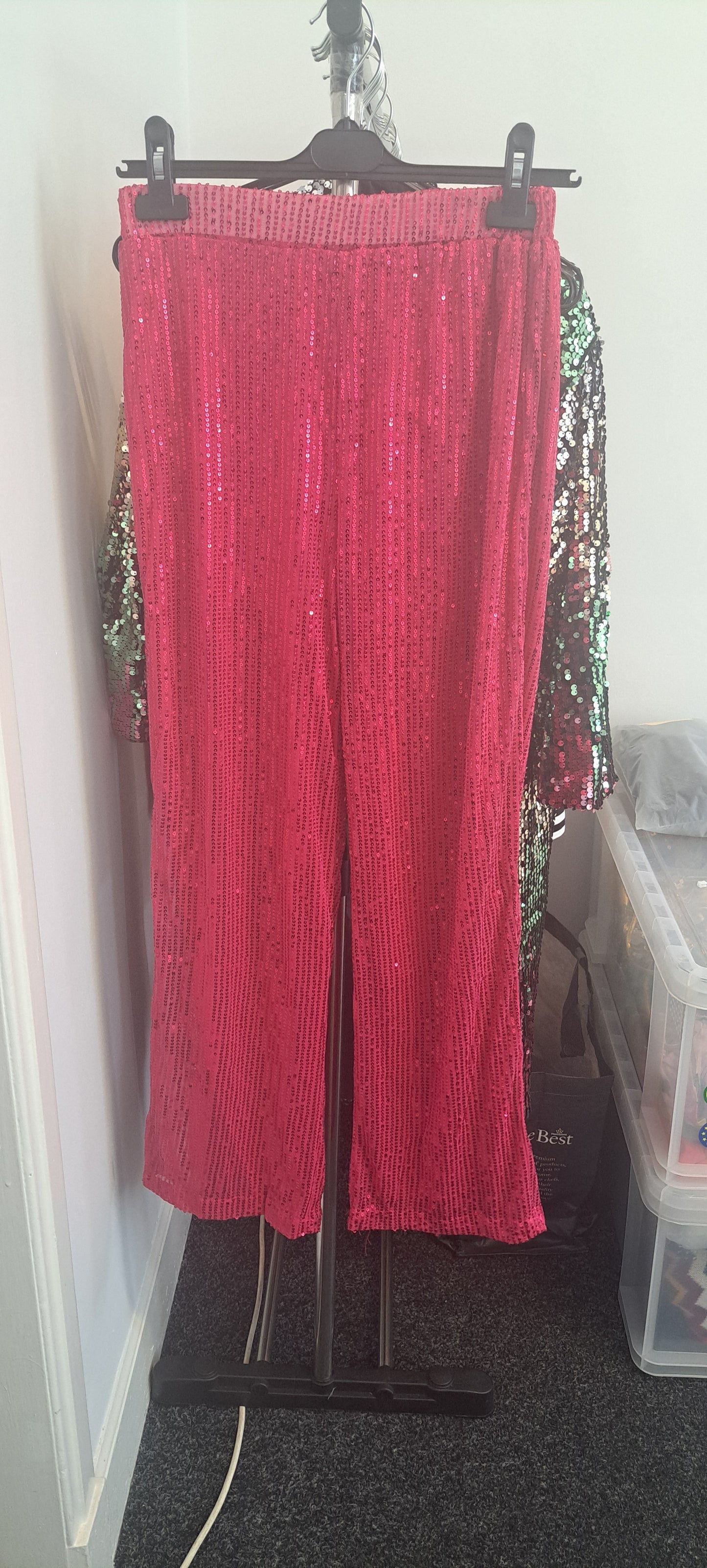 Petite Length Wide Leg Sequin Trousers