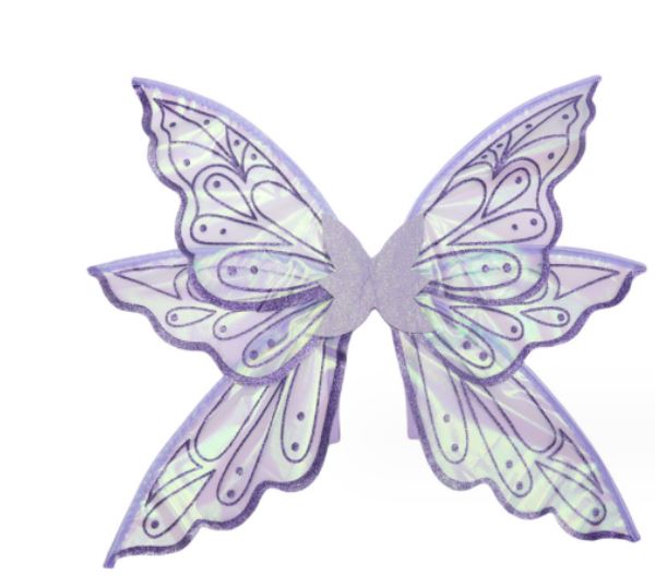 Adult Pretty Fairy Wings