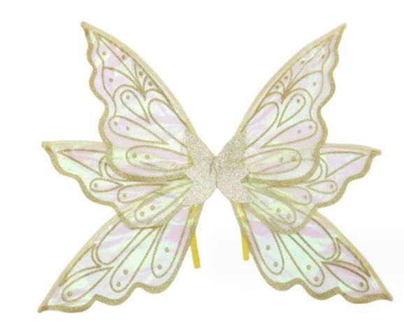 Adult Pretty Fairy Wings