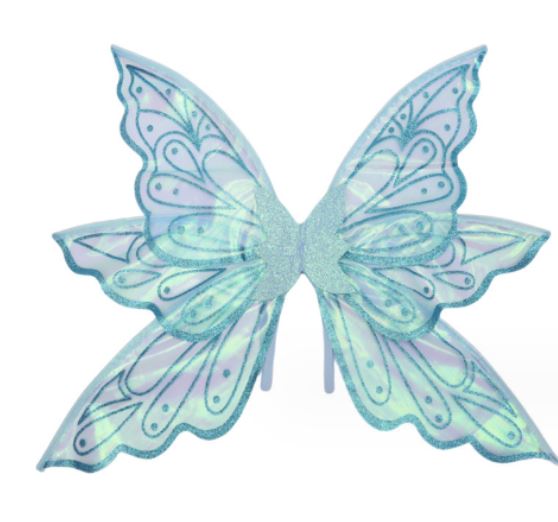 Adult Pretty Fairy Wings