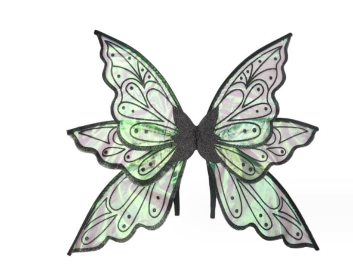 Adult Pretty Fairy Wings