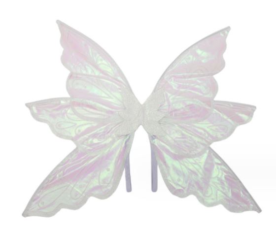 Adult Pretty Fairy Wings