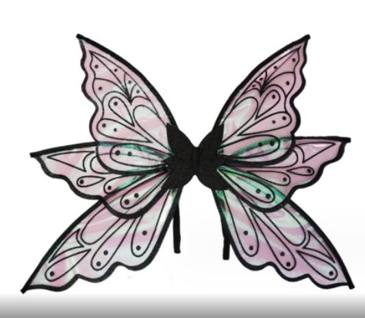 Adult Pretty Fairy Wings