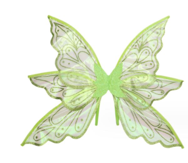 Adult Pretty Fairy Wings